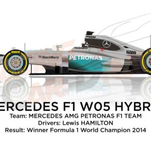 Mercedes F1 W05 Hybrid n.44 winner Formula 1 World Champion 2014