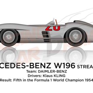 Mercedes-Benz W196 Streamliner fifth in the 1954 with Kling
