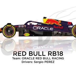 Red Bull RB18 n.11 Formula 1 World Champion 2022